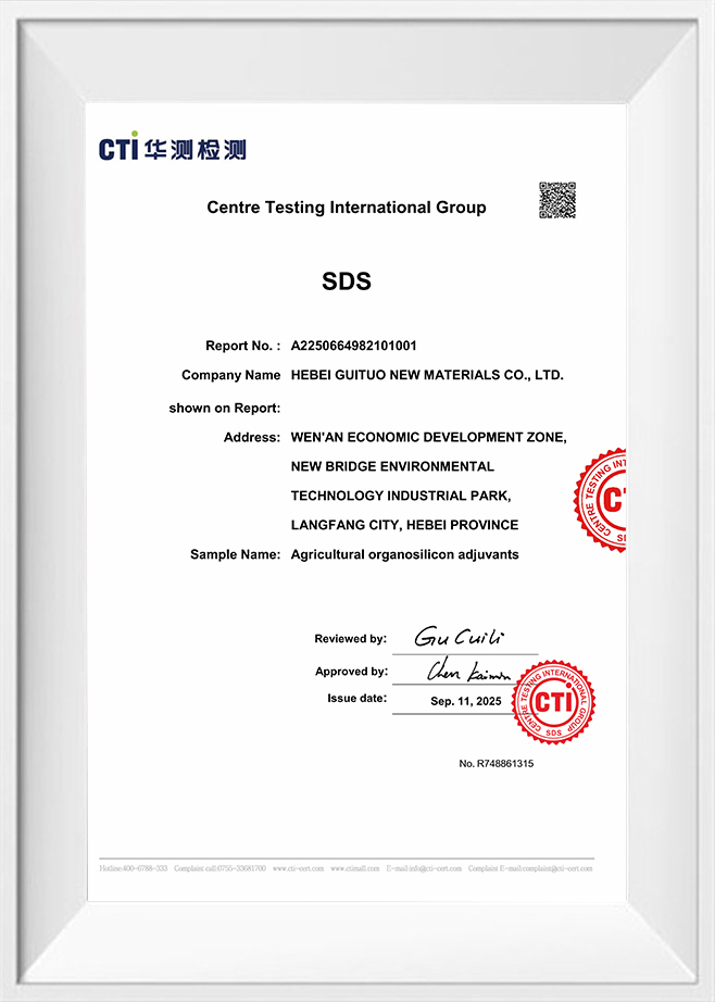 Grúpa Idirnáisiúnta Tástála Ionad